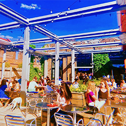 Brique Land - Guest Pics Brique Land - Guest Pics