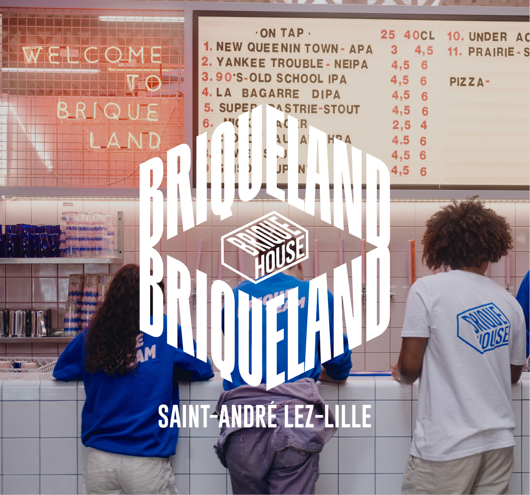 Découvrez Brique Land